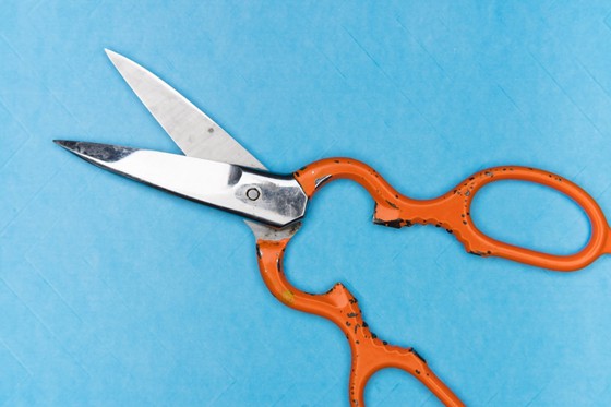 sharp-bladed pair of scissors